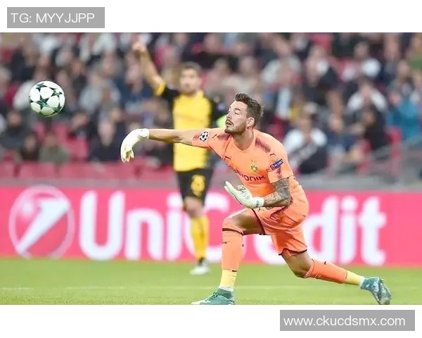 2014年瑞士足球明星的辉煌历程与世界杯精彩表现回顾